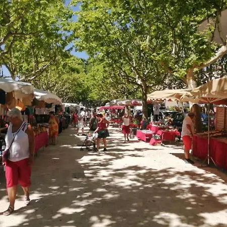 Ferienhaus Pet Friendly Home In Saint Andre De Roquepe Saint-André-de-Roquepertuis